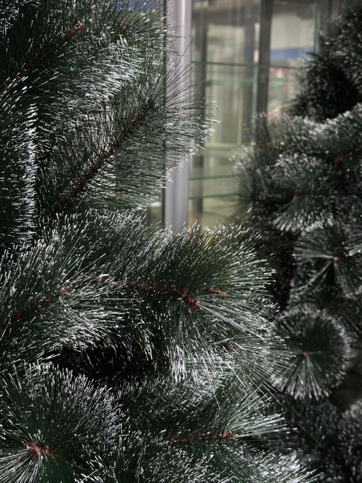 Ёлки в Астане,доставка/самовывоз