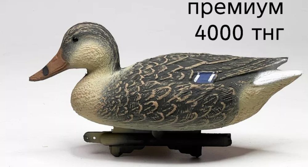 Распродажа охотничьих принадлежностей