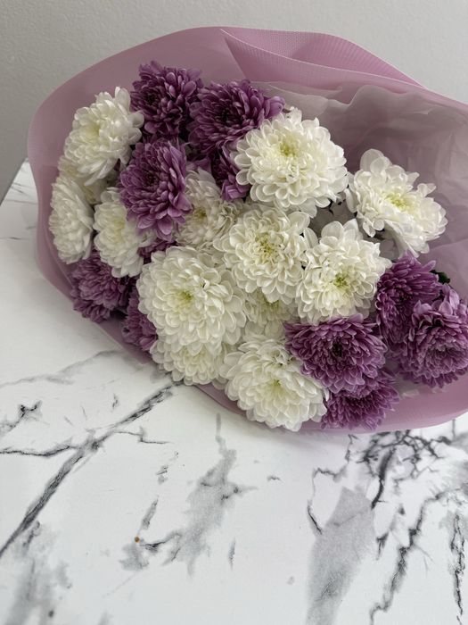 Цветы хризантемы.