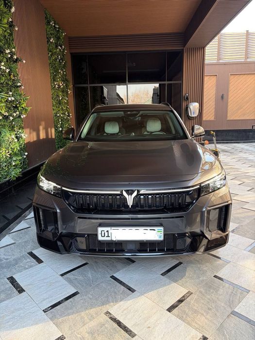 Voyah free apolo tech 318