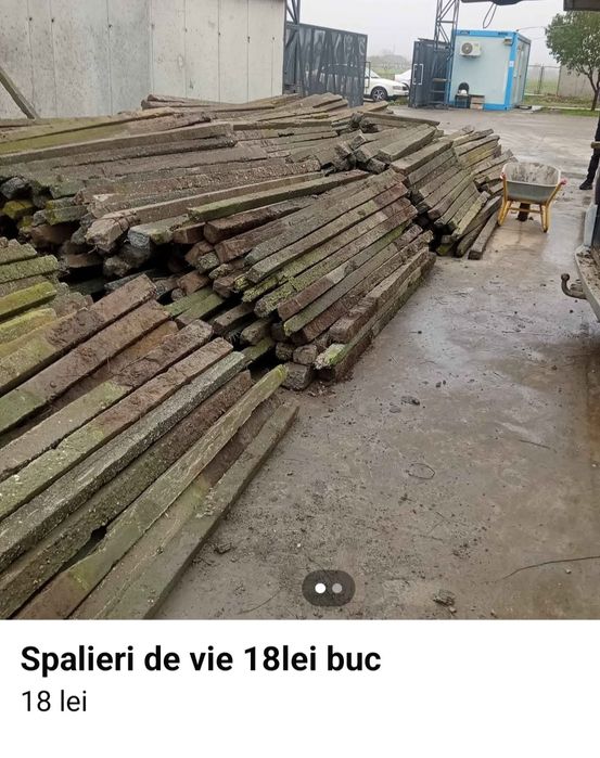 Spalieri de vie 18 lei