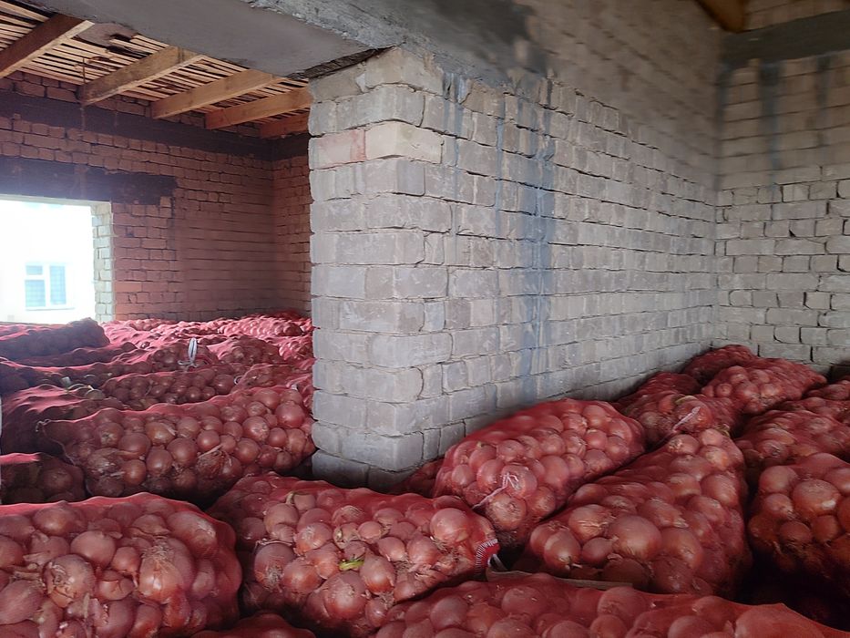 Piyoz sotiladi optim narhta. Manzil toshkent
