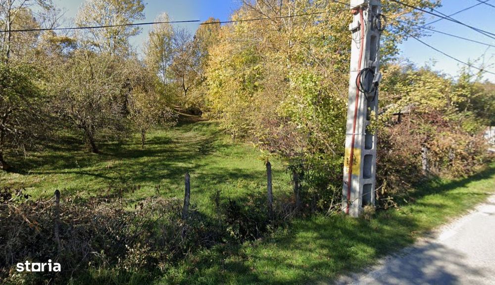 Teren intravilan 3.788 mp, utilitati, Fieni-Costești, deschidere 39 m