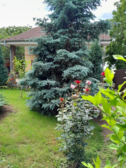 Casa de vanzare in judetul Olt