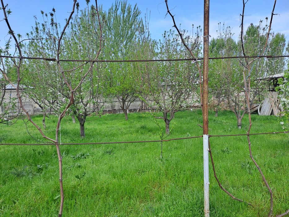 5 sotix yer sotiladi