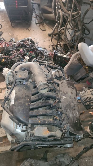 Шаран разбор форд