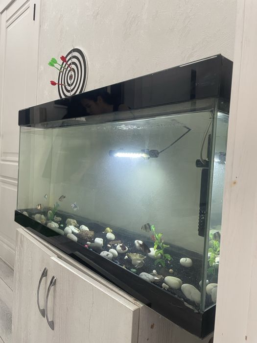 срочно! недорого !продам аквариум