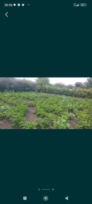 Продам дачу. Текстильщик 2.