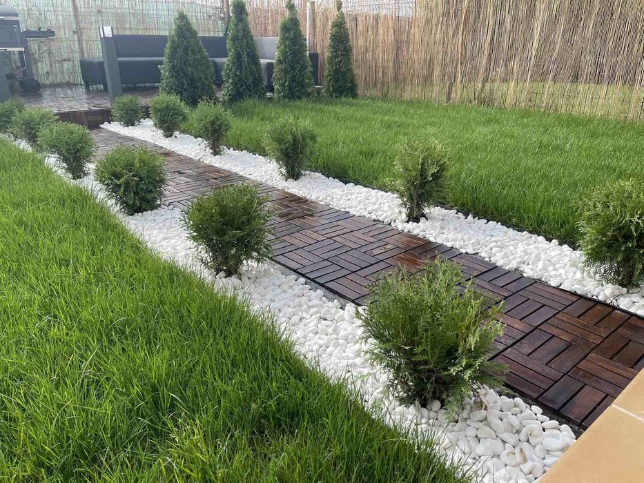 Професионално косене и поддръжка на дворове  Пловдив