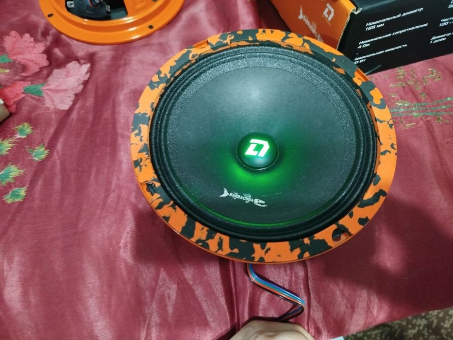 DL Audio Barracuda 165. Эстрадные динамики