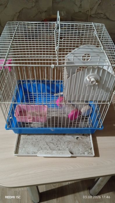 Продам клетку для крысы