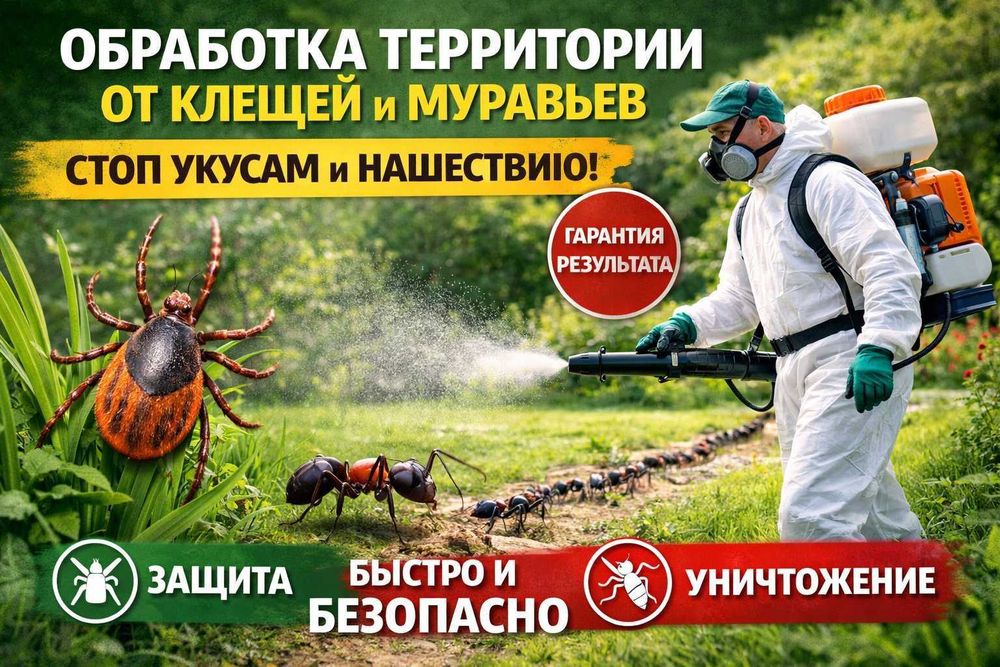 Служба дезинсекции