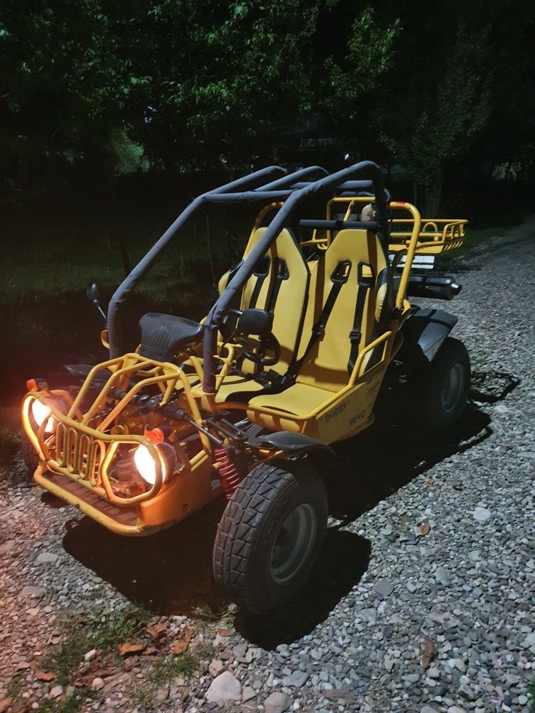 Buggy sahara hot sale 250