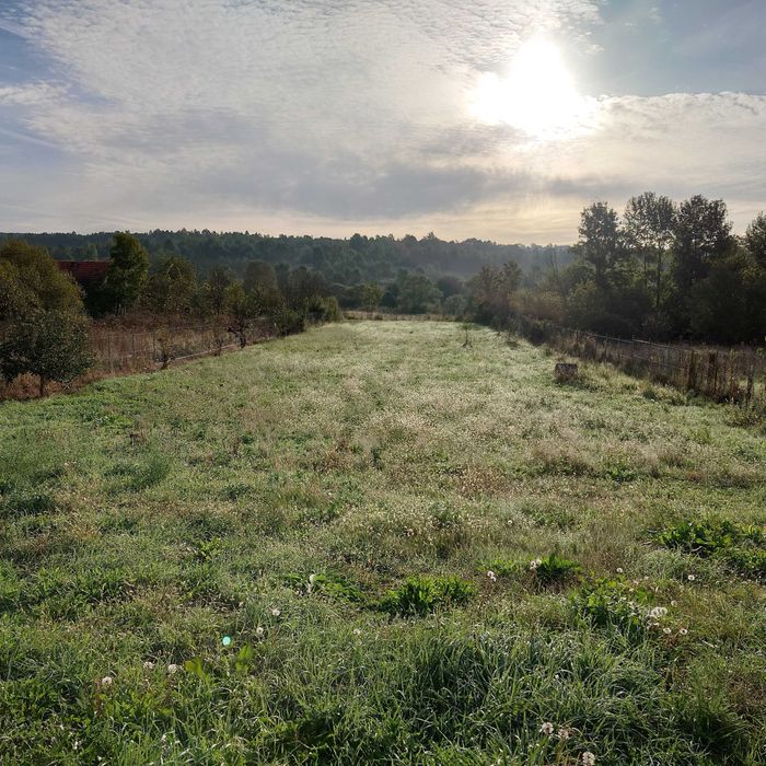 VAND Casa de vacanta in Cosarii jud. Timis