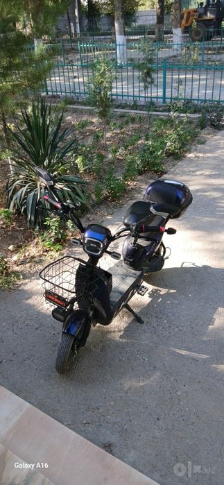 Drongo chuntak skuter sotiladi