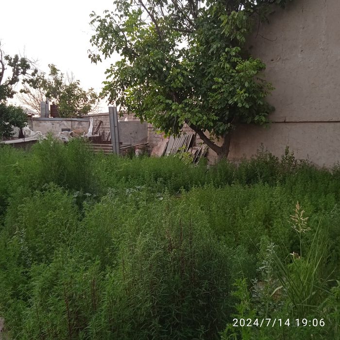 Дача сотилади срочно