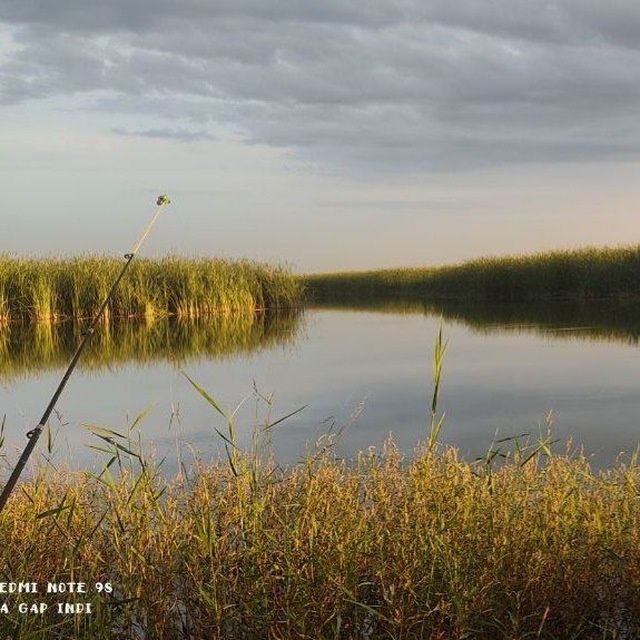 eshiklar.yangi.qoyilmagan