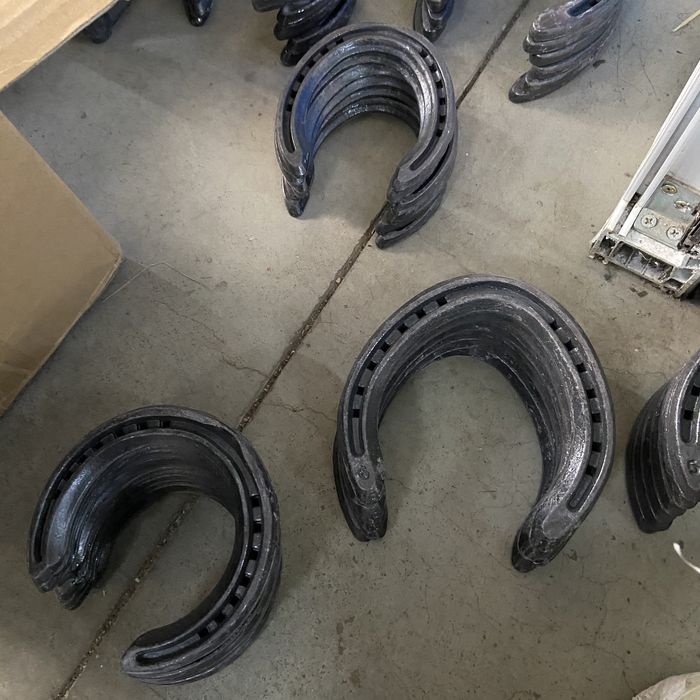 Темір таға, подкова