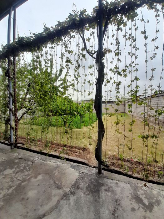 Срочно уй сотилади 8 сотих 9 хона и 3 та падвали бор