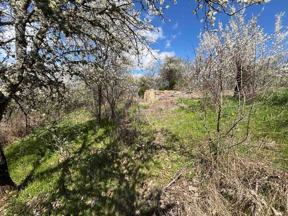 Продава се Къща в с. Смиров дол, Област Перник - 70 кв.м за 429 €/кв.м - Снимка #17