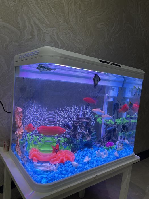 Akvaryum Xitoy Mini Akvarium 45 littlr