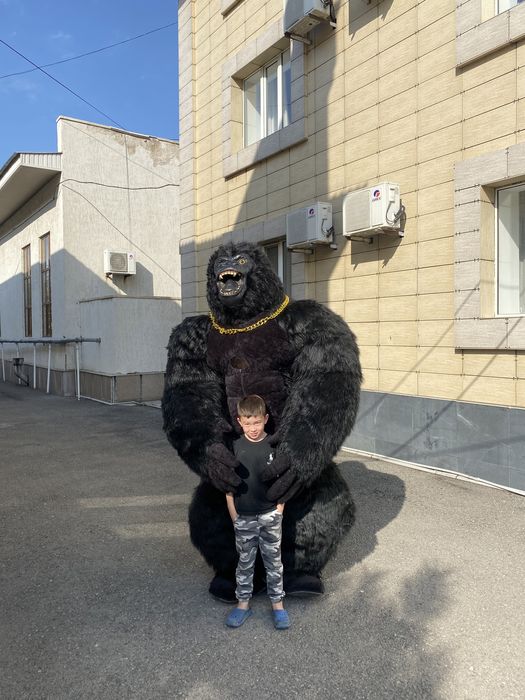 Горилла кин конг