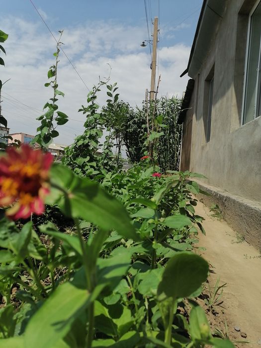 Продаётся дом со всеми удобствами