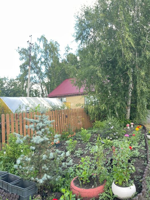 Продам дом в Булаево