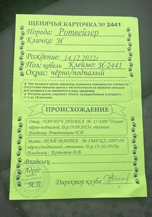 Кобель на случку