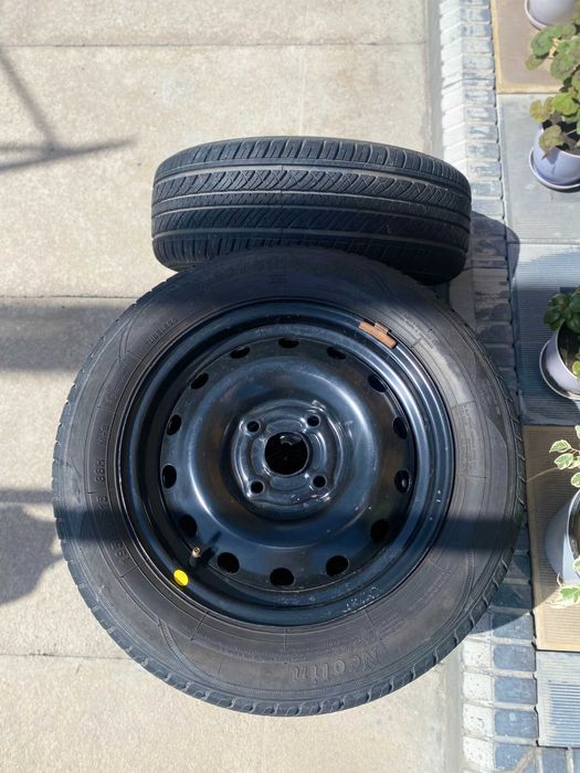 NeoLine - NeoTour avtobalonlari