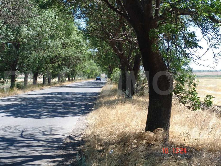 Продава се Парцел в с. Черно море, Област Бургас - 14498 кв.м за 8 €/кв.м - Снимка #3