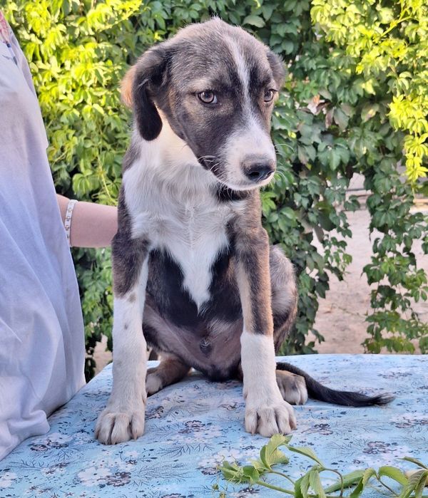 Подарите дом и семью малышу