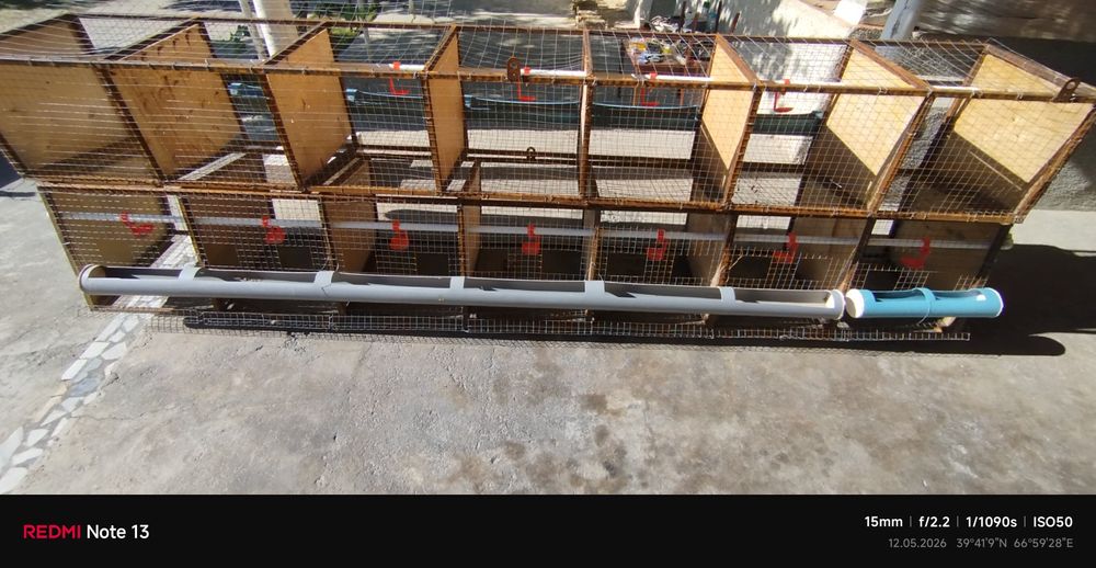Tovuq uchun katak sotiladi