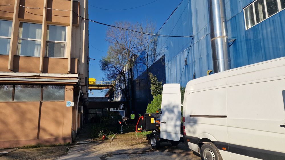 Tocator cregi/vegetatie