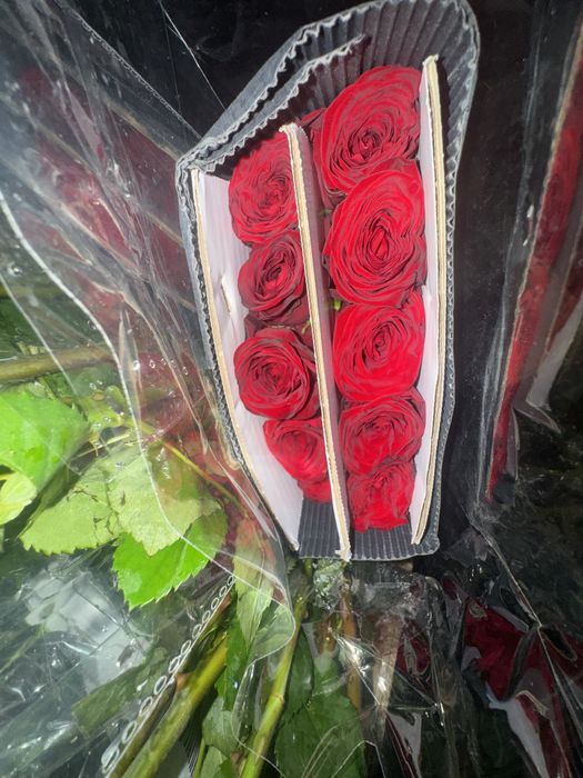 Розы оптом и в розницу