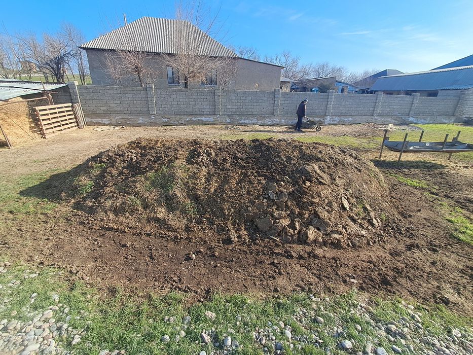 Малдың тесігі бар