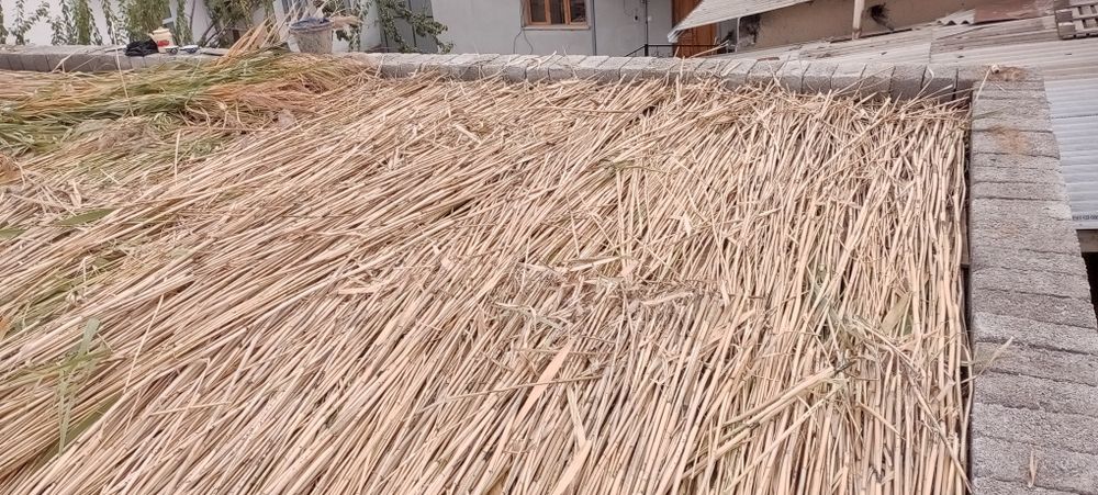 Ломбоз учун  камиш лобозга ишлатгани 1.5 кв 5 см 10 см калинликда йопа