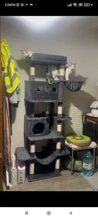 Катерушка за котки