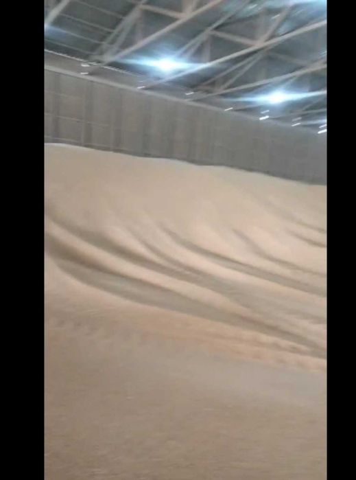 Продам зерно бидай пшеницу