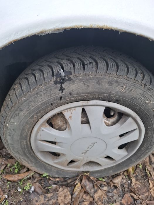 Set Roți debica R13