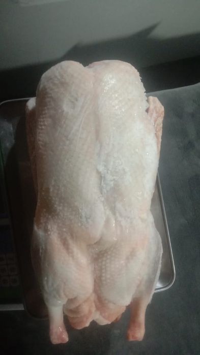 Гуси в заморозке