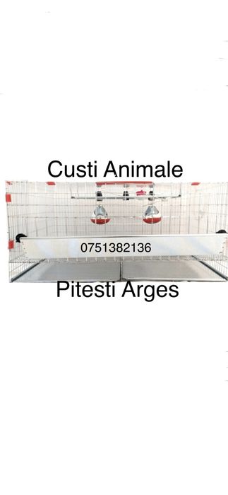 Maternitate puișori