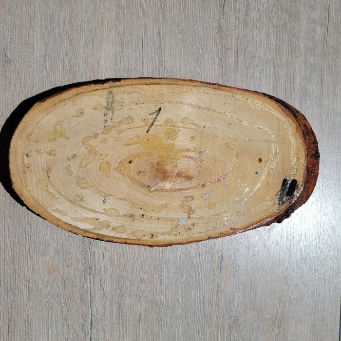 Объёмная картина на доске "Берёзы"