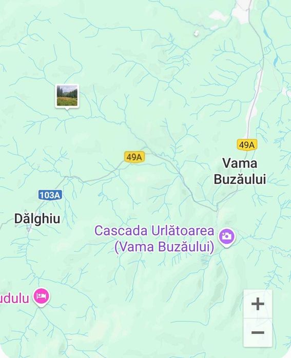 Vând Pădure tânără Fag + Brad, zona Vama Buzăului