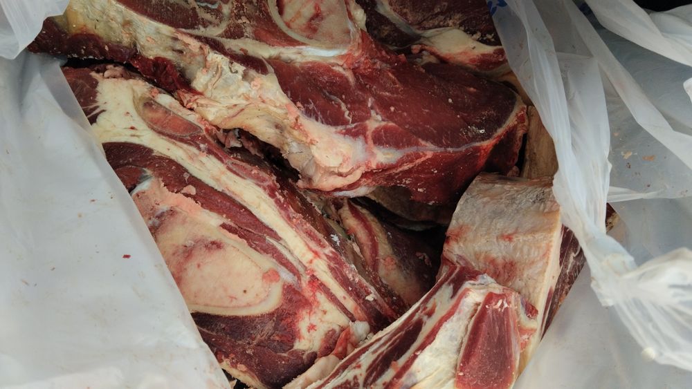 Мясо продам говядина и конина