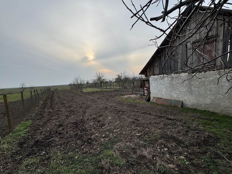 Casa de vanzare in Carei- zona Ianculesti