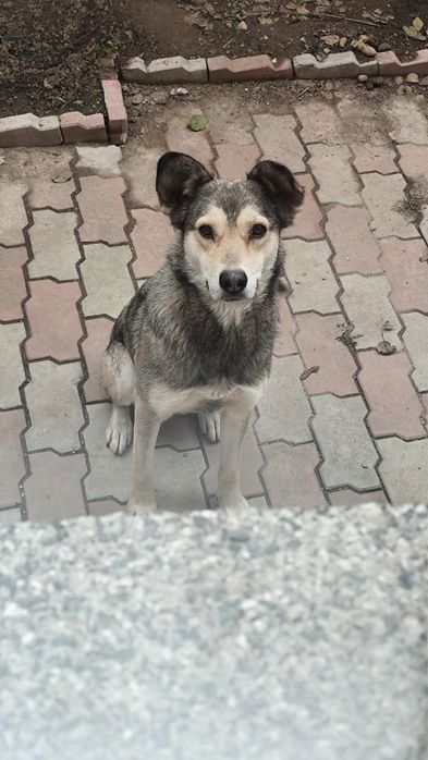 В частный дом охрана