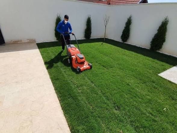 Tuns iarba și întreținere grădină – servicii complete !