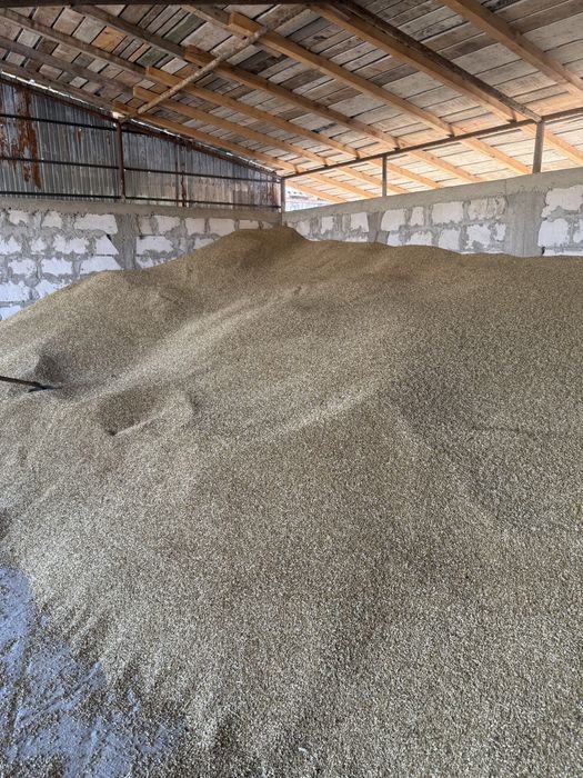 vand orz cantitate mare