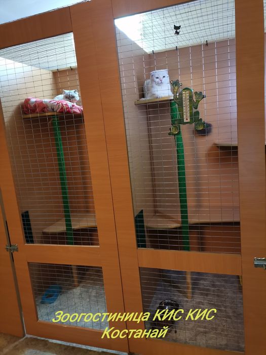 Зоогостиница КИС-КИС